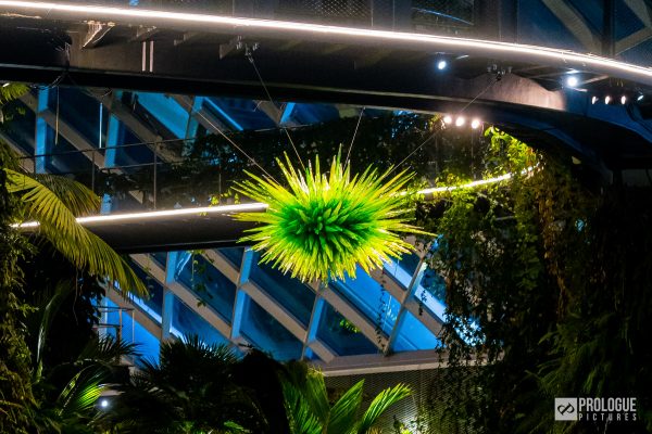 Dale Chihuly: Glass In Bloom | Gardens By The Bay Singapore